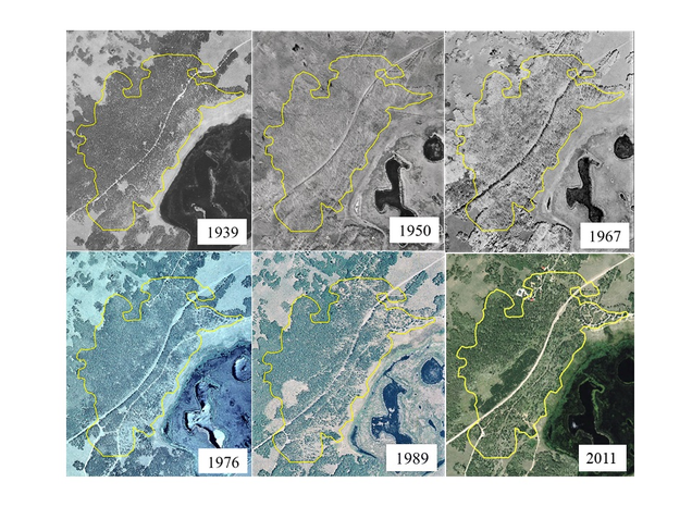 A 72-year aerial photo sequence shows forest cover within the Pando aspen clone in Utah. The yellow outlines the boundary of the clone.